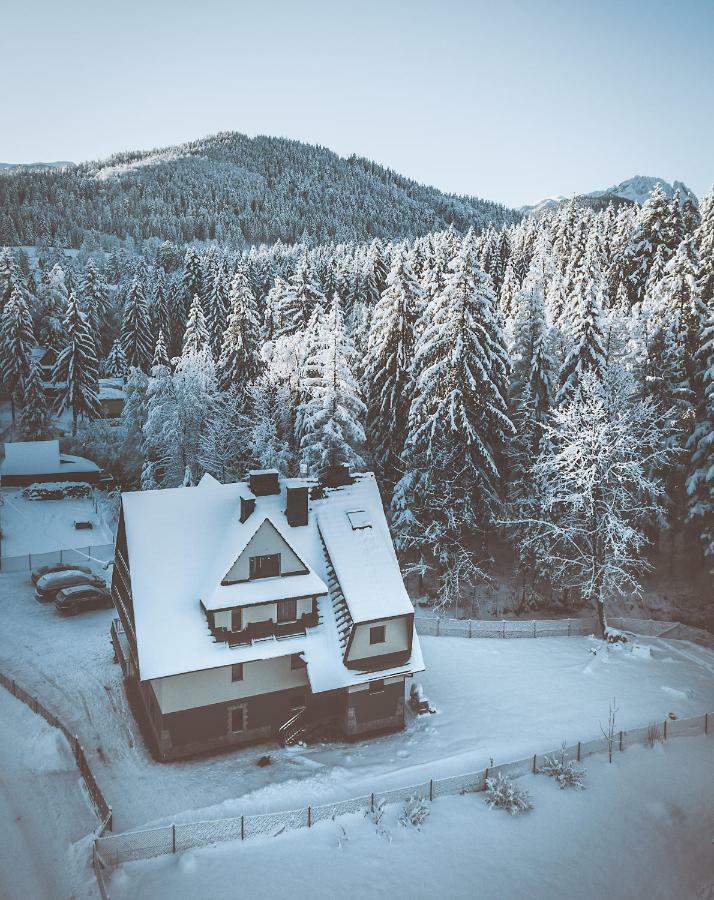 Pokoje I Apartamenty Nad Potokiem 扎科帕内 外观 照片