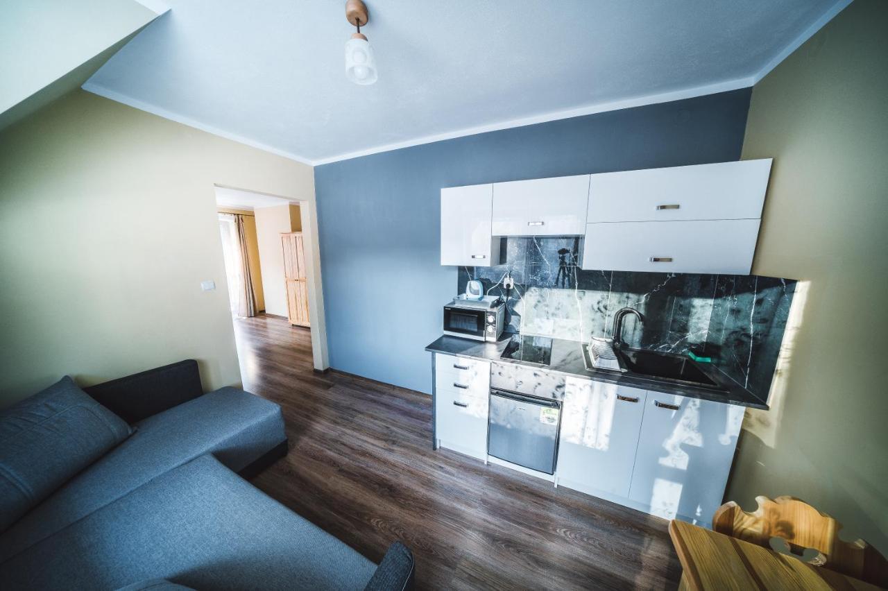 Pokoje I Apartamenty Nad Potokiem 扎科帕内 外观 照片
